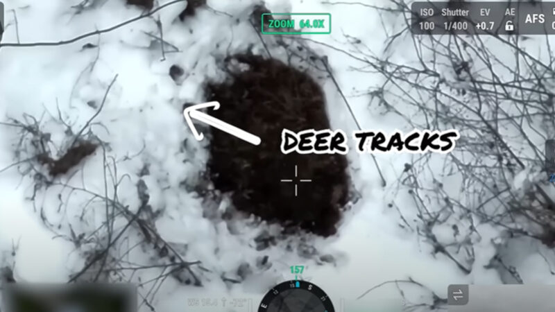 The Ethics Of Drones In Hunting