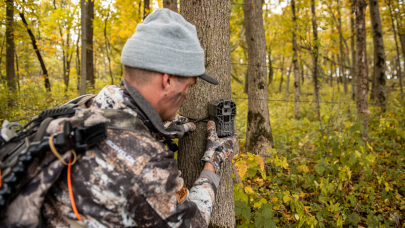 Trail Camera Mistakes