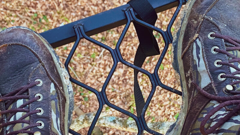 When Is The Best Time To Hang Your Treestand?