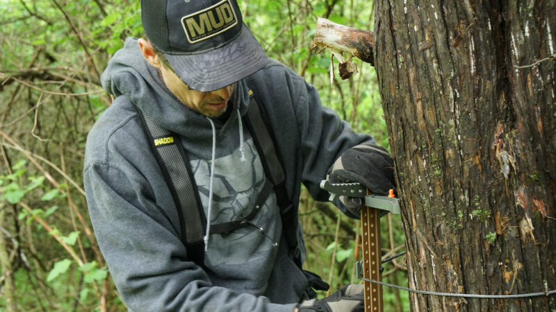 Top Chores To Prep For Bow Season