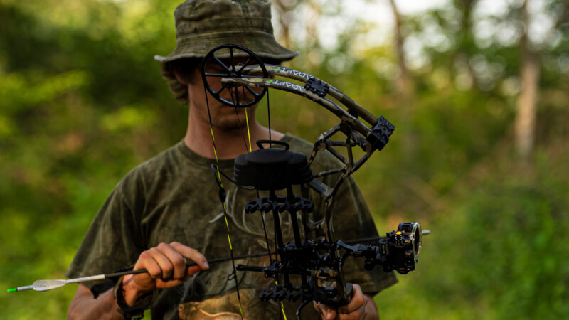 Bear Launches New Adapt Bows With The Hunting Public