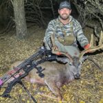 N/a Colombian Blacktail In California By Austin