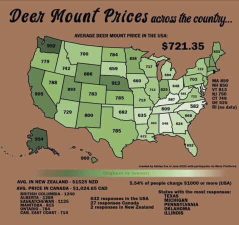 Taxidermy Fees By State