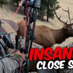 Elk Shot At 3 Yards! Unbelievable Bowhunting Action