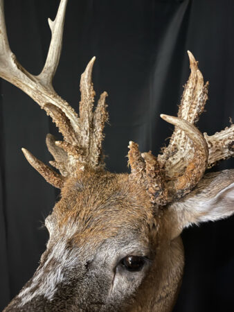 Big Buck Profile: A Bowhunter's 1st Buck