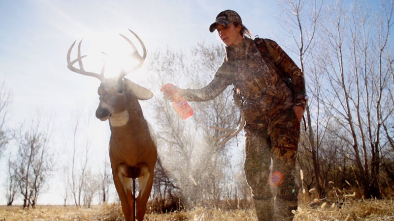 When Is The Best Time To Use A Deer Decoy?