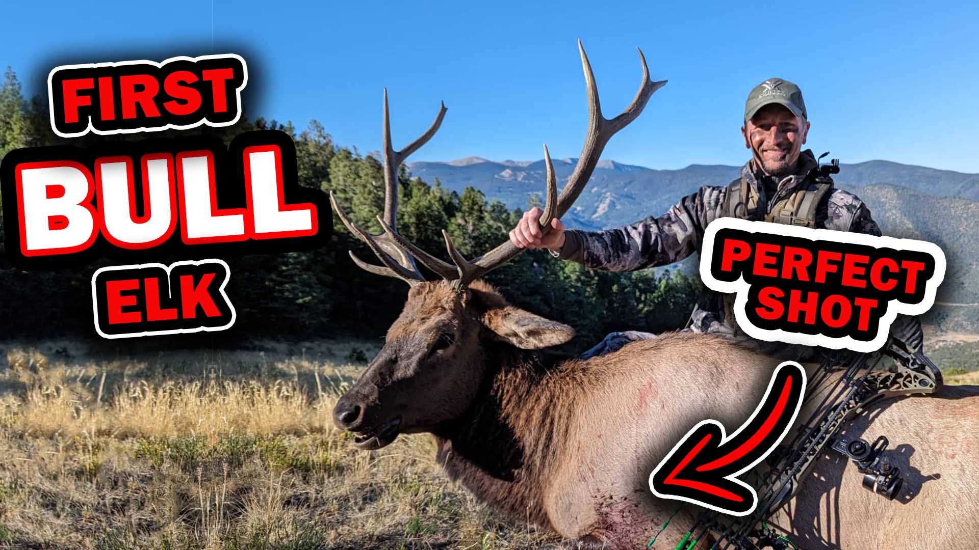 Perfect Shot on a New Mexico Elk