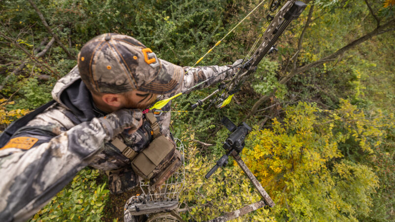 Scent Control Tactics For Early Season Bowhunting