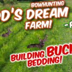 Todd's Dream Hunting Property | Part 05 Building Buck Bedding