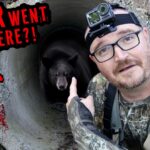 Risky Bear Recovery | This Is Not Good!