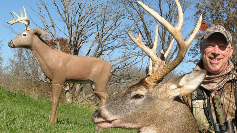 How To Decoy Whitetail Deer