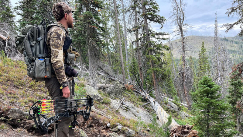 Friendly Folks Choose Wilderness Areas To Bowhunt Elk