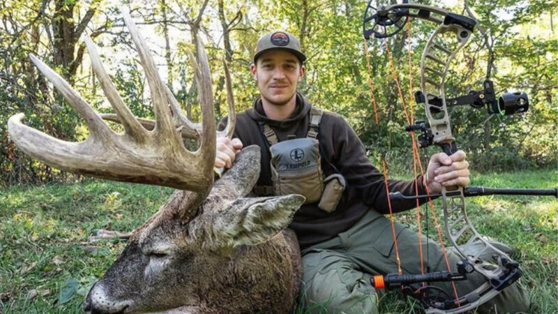 Buck Continue To Fall In October
