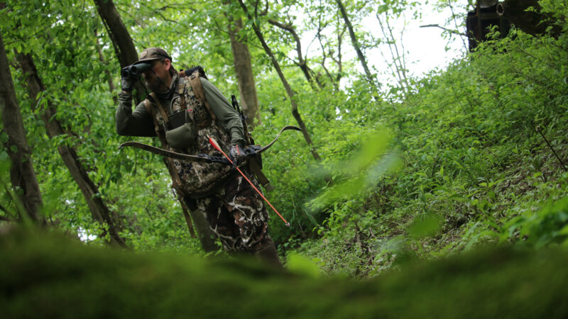 How Effective Are Bowhunters?