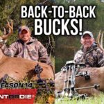 Buck Buddies | Back To Back Bucks!