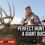 Perfect Hunt For A Giant Buck!
