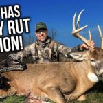 Big Buck! Crazy Rut Action!