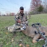 N/a Whitetail Deer In Minnesota By Tom Schroers