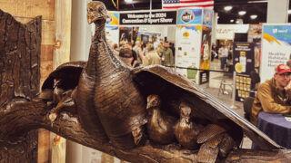 Best Of The 2024 Nwtf Show