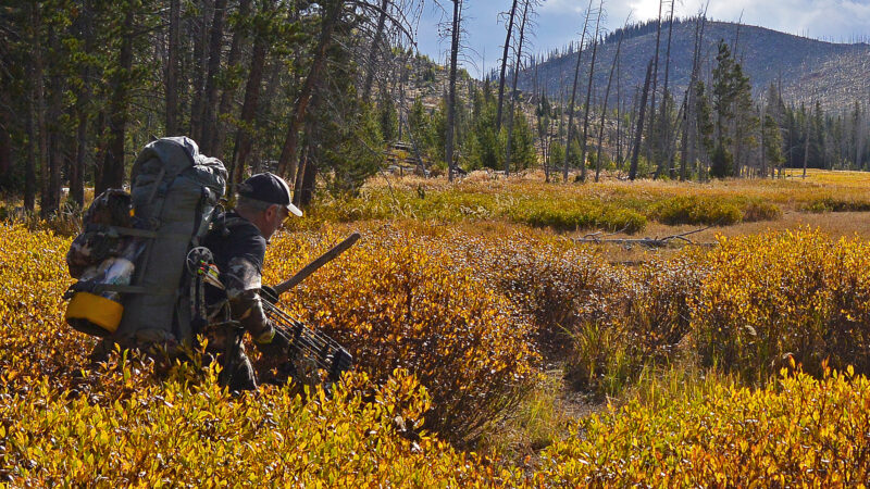 Backwoods Bowhunts Require Exercise, Strong Body Core
