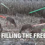 Filling The Freezer! Bowhunting Compilation!