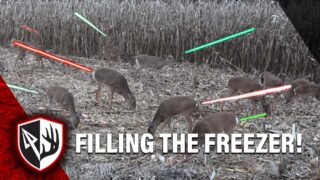 Filling The Freezer! Bowhunting Compilation!