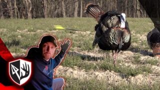 Opening Morning Gobbler! Turkey Leg Carnage!