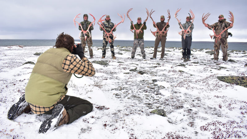Caribou Hunting In North America