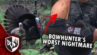 Bowhunter's Worst Nightmare! Turkey Hunting