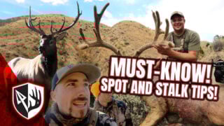 5 Must Know Spot & Stalk Tips