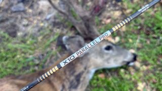 Easton X10 Pro arrow shaft in front of a dead blacktail buck