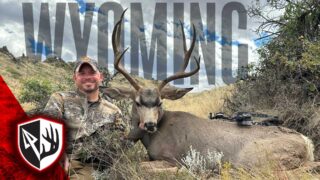 Chasing Mule Deer In Wyoming
