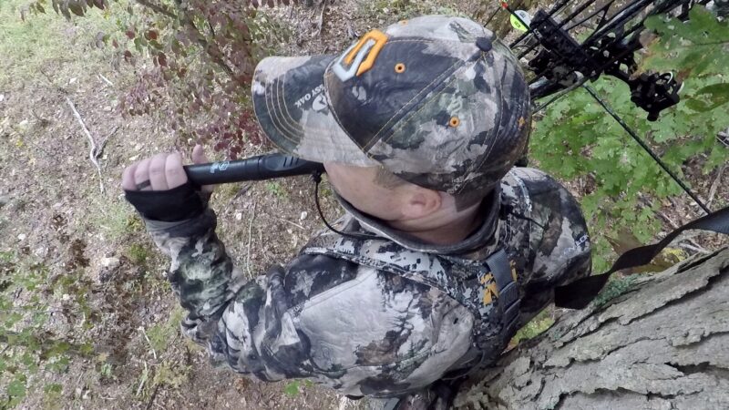 Hunter in tree blowing a grunt call to attract a deer