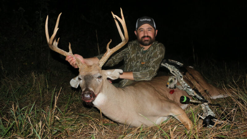 josh honeycutt buck