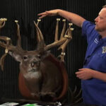 Buckmasters Scoring System: What Is It And Why Is It Gaining Popularity?