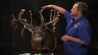 Buckmasters Scoring System: What Is It And Why Is It Gaining Popularity?
