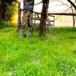 N/a Turkey In Kansas By Josh