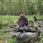 Tom Tom Turkey In Bath Michigan By Dennis Beardsley