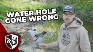 Water Hole Gone Wrong