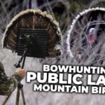 Public Land Turkeys! Nowhere To Hide!