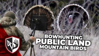 Public Land Turkeys! Nowhere To Hide!