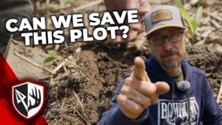 Plot Panic: These Beans Look Awful!
