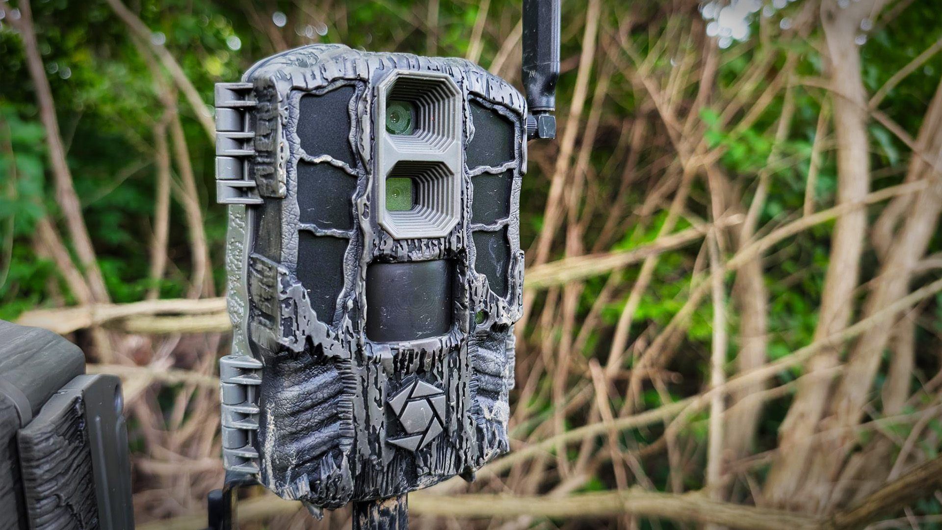 New Trail Cameras For 2025