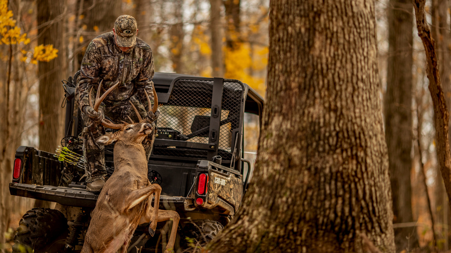 Loading Buck in Side By Side