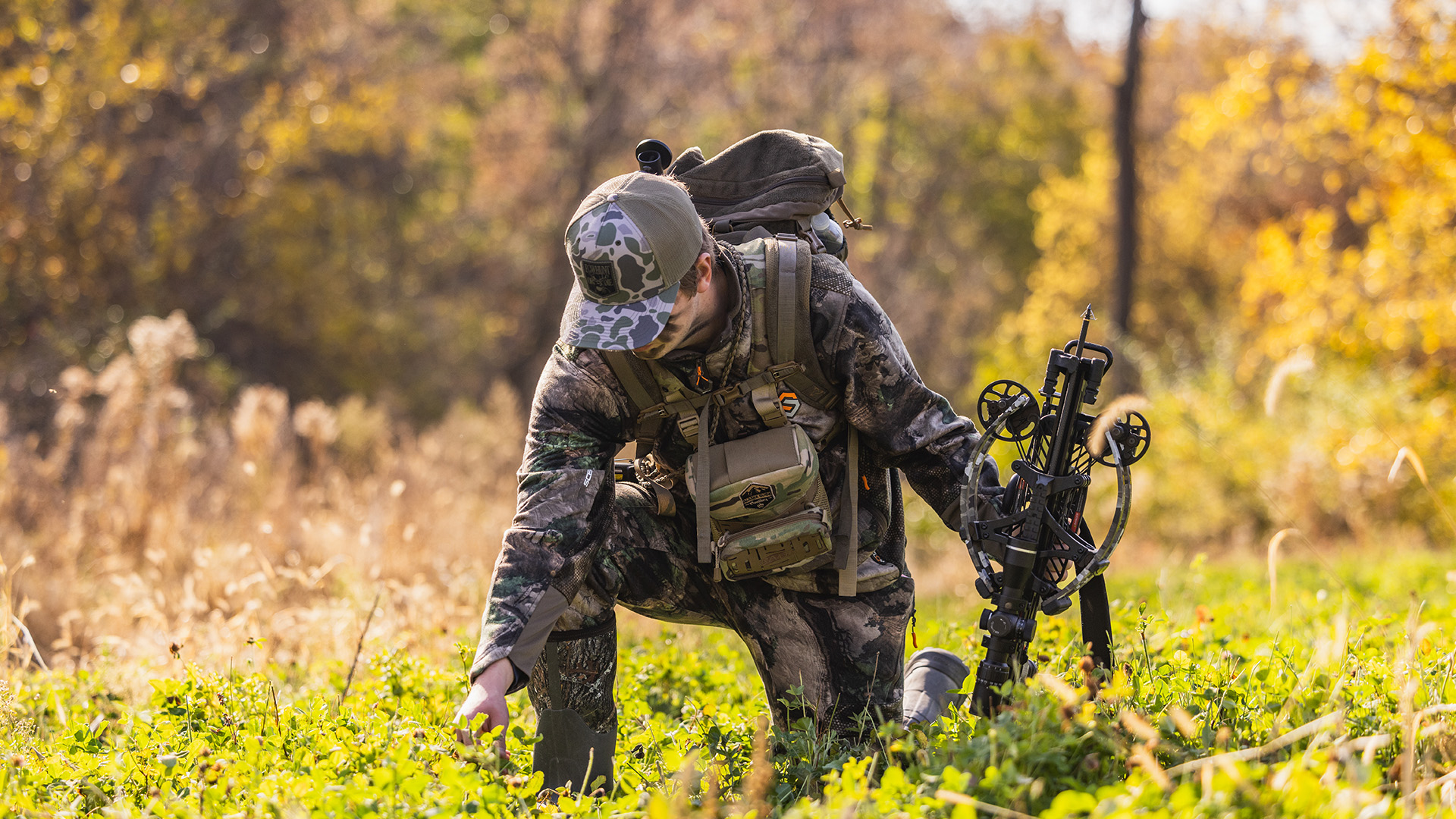 Picking A Crossbow 1