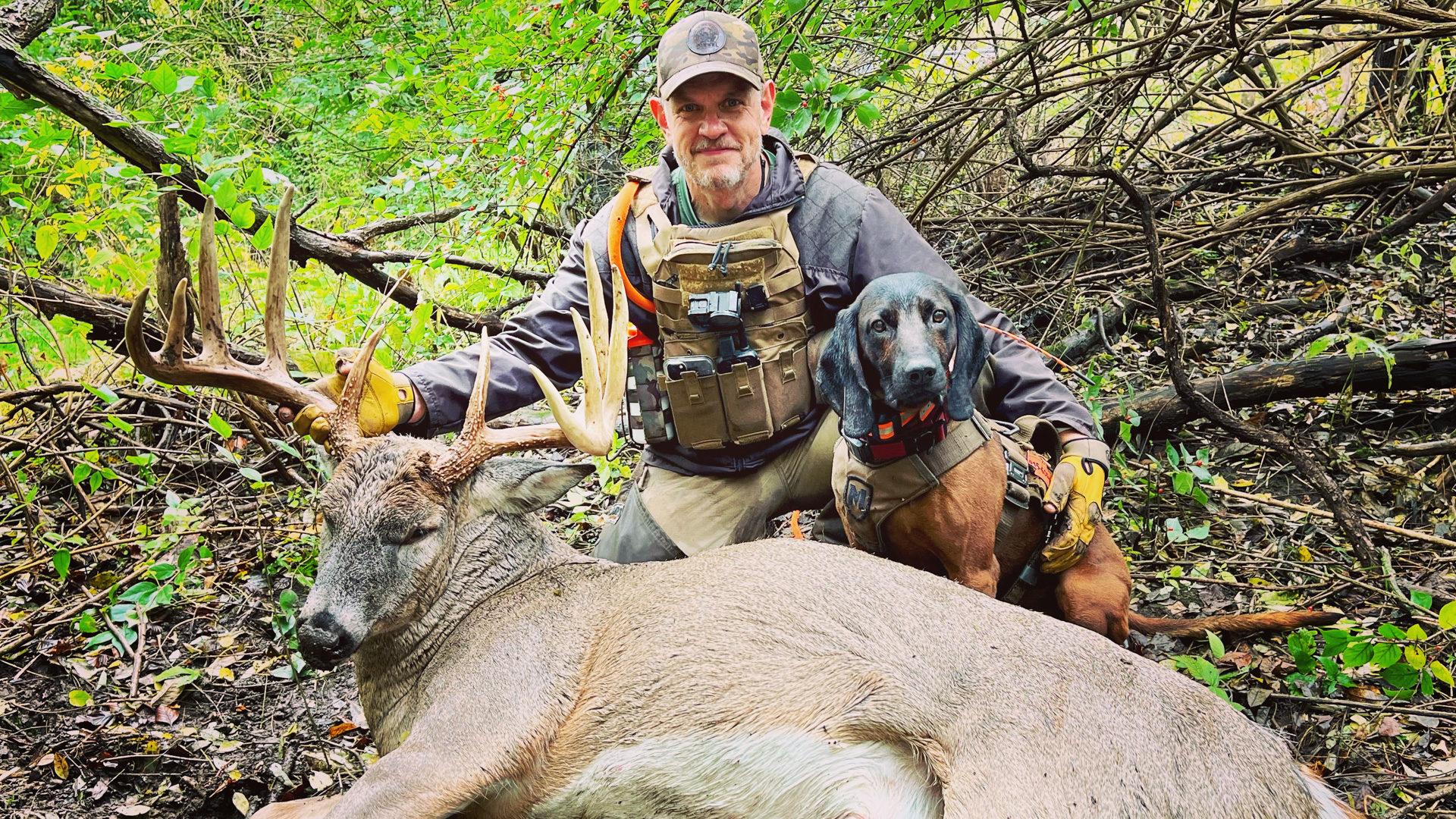 What Do Tracking Dogs Tell Us About Broadhead Choice?