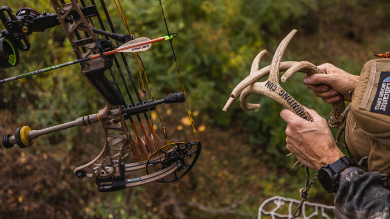 Antler Rattle Real vs. Fake Rattling Antlers for Deer: Does it Matter?