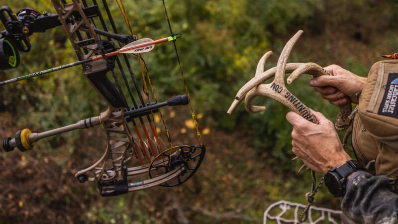 antler rattling in the treestand