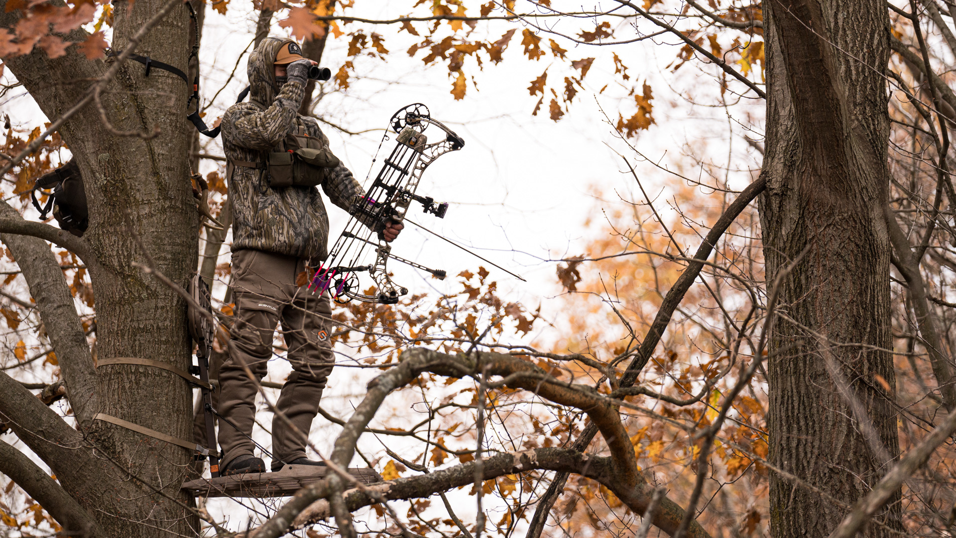 What's New From Scentlok For 2025?