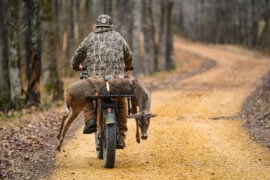What's The Best Way To Haul A Deer Out Of The Woods?